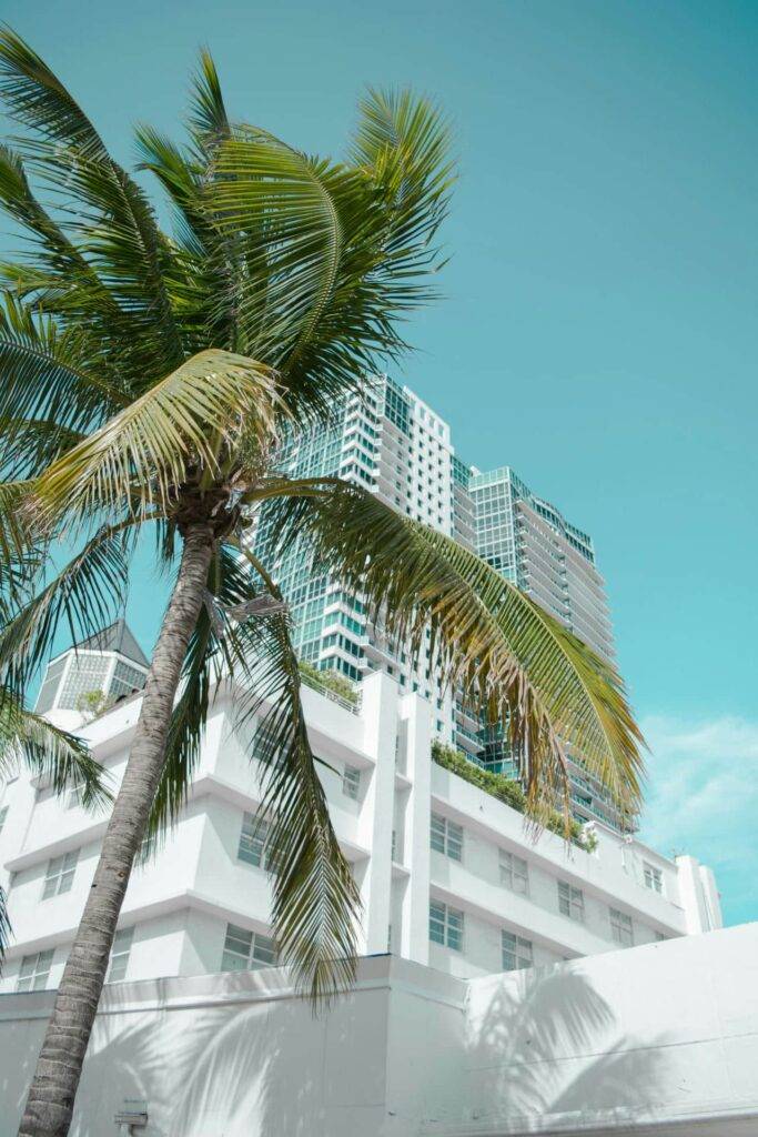 Cloud services and Microsoft 365 support in Coconut Grove
