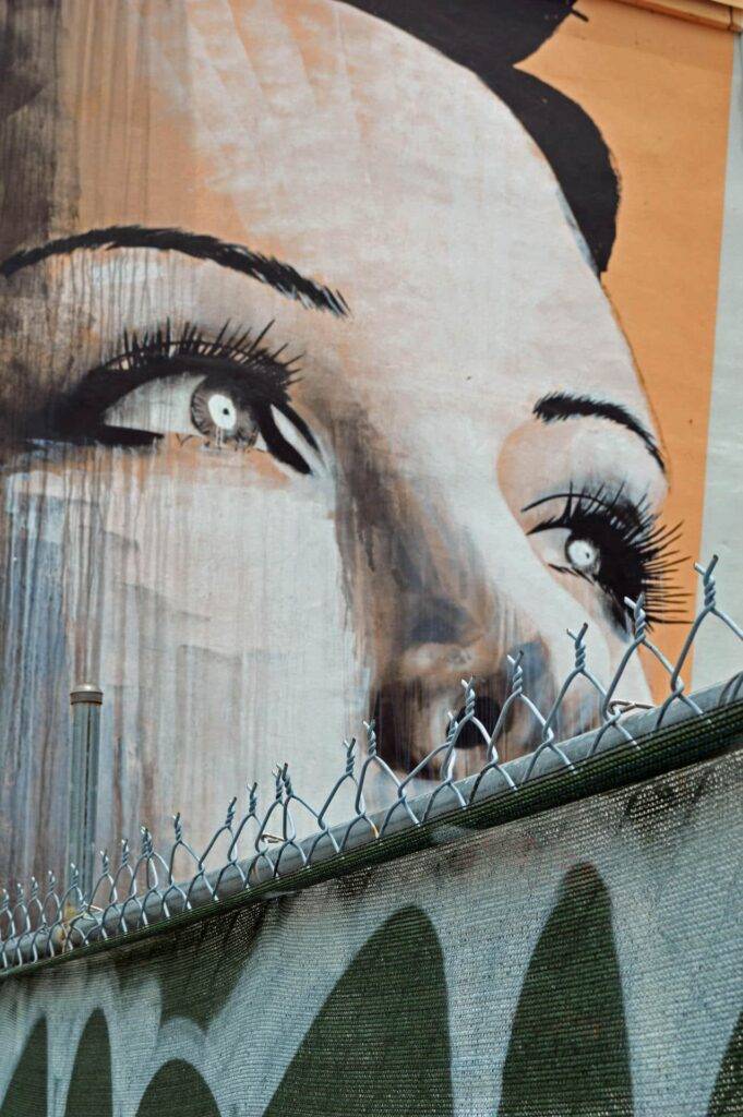 Cloud services and Microsoft 365 support in Wynwood.