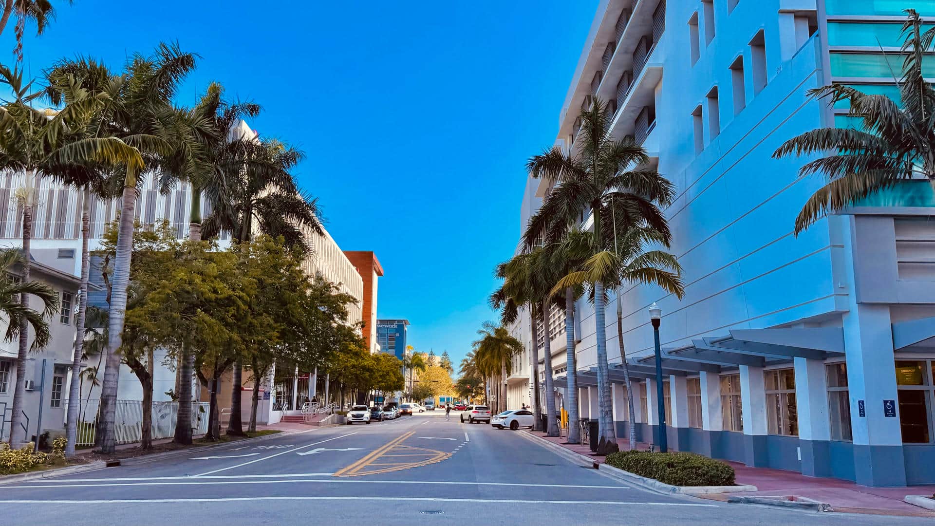 Downtown Hollywood, FL city skyline near Young Circle